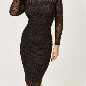 French connection dress